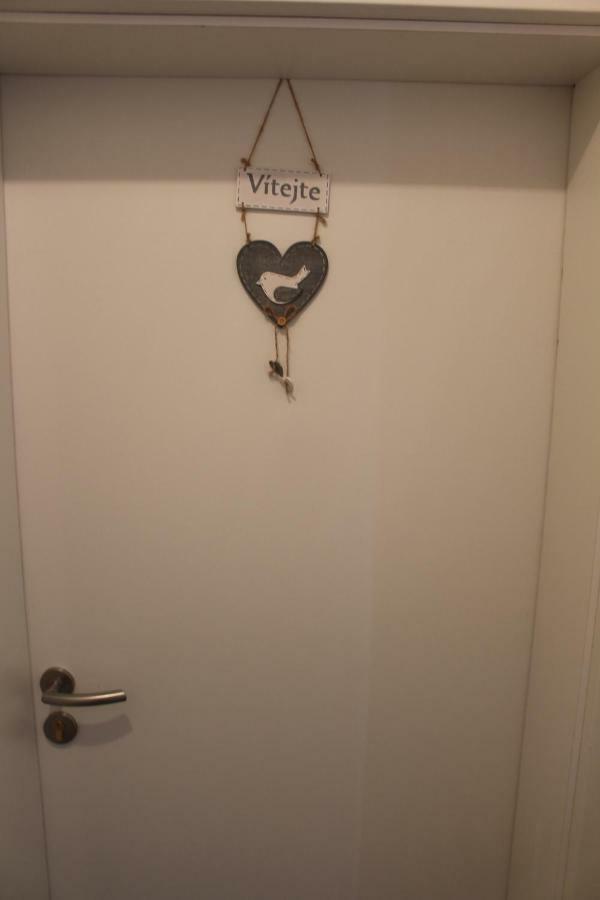 Venkovský apartmán Appartamento Stožec Esterno foto